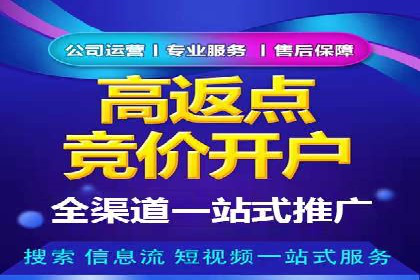 SEM广告投放的竞价策略与效果评估案例